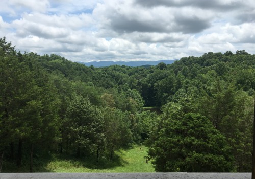 How to Get Involved in East Tennessee's Community Projects as a Non-Resident